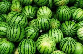 网传热瓜吃瓜群分享,吃瓜群里的热议焦点