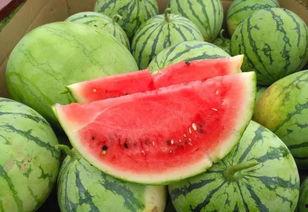 佛山网红吃瓜事件,一场网络舆论的风暴与反思