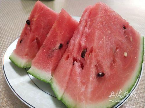 南汇一中网课吃瓜