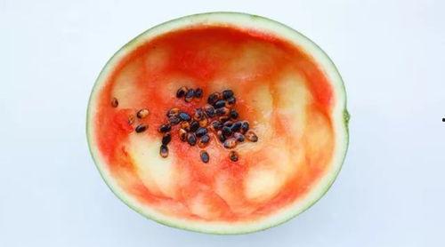 网红吃瓜大勺子视频