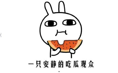 抖音吃瓜网是什么,热门话题背后的真相与趣味