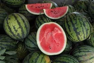 网红戈优吃瓜1块钱,一元揭秘娱乐圈幕后真相