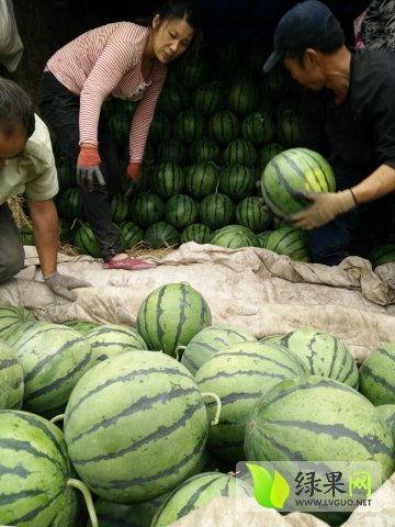 无锡最新吃瓜事件网红,网红风波再起，揭秘幕后真相