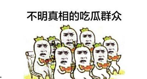 网传吃瓜群众约谈,揭秘网络舆论背后的真相